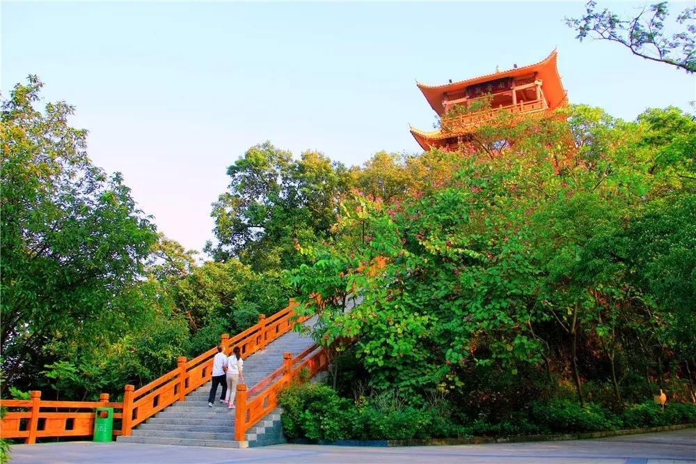 郑州春节周边景区免费景点大全,春节赏花的好去处