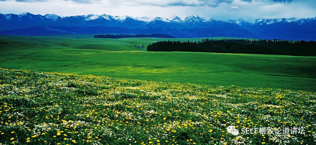 新疆天山世界文化遗产,天山为什么被入选为世界自然遗产