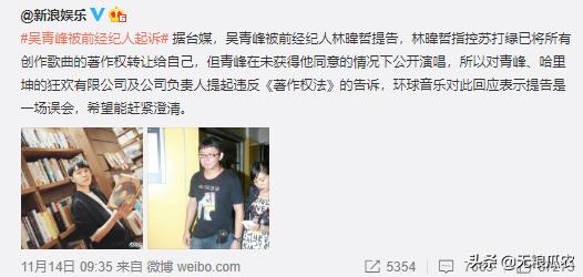 鱼丁糸和林暐哲，追求理想和实现利益的矛盾双方