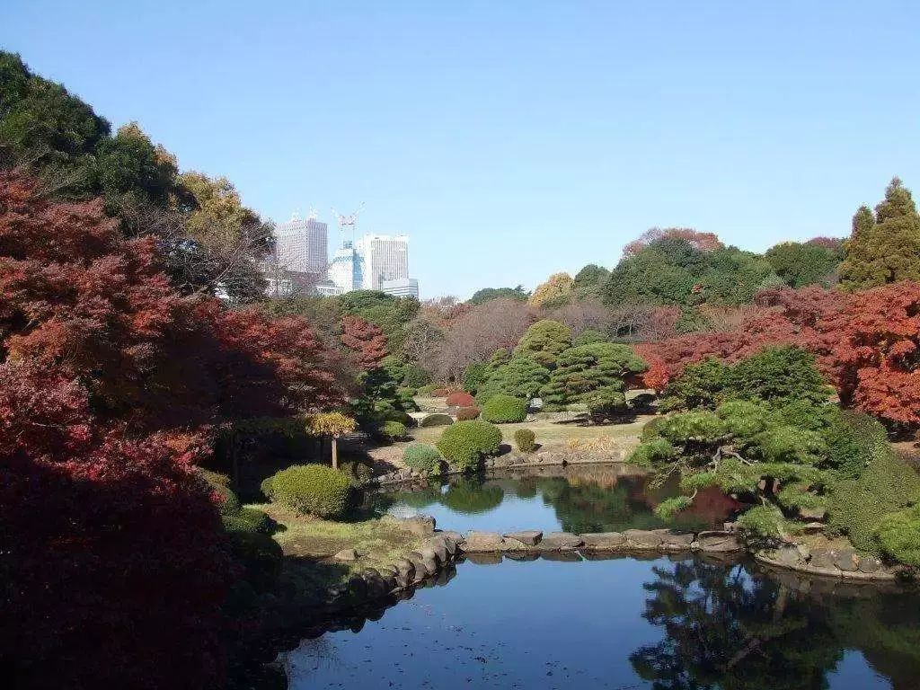 日本的变态杀蚊子神器,日本蚊子驱蚊神器