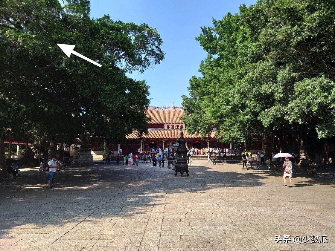 2020年索尼手机用起来如何？Xperia1II体验