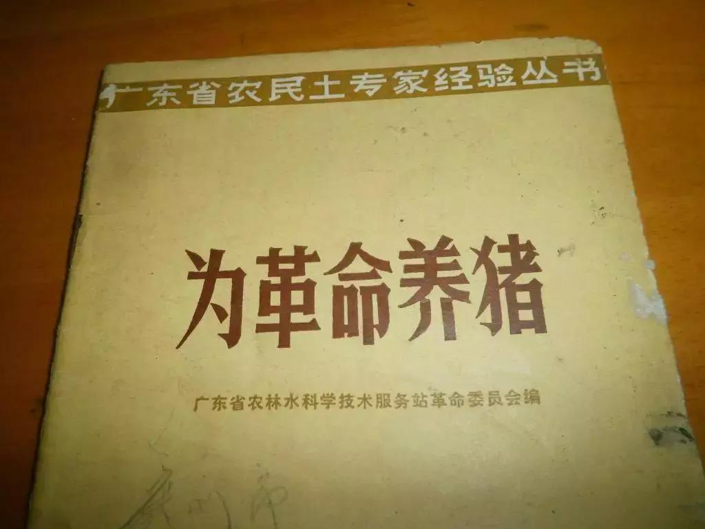 中国最有钱的人是谁丁磊,最厉害的三个丁磊