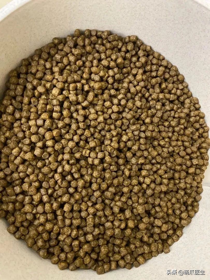 go猫粮翻车了怎么处理,猫吃猫粮死了