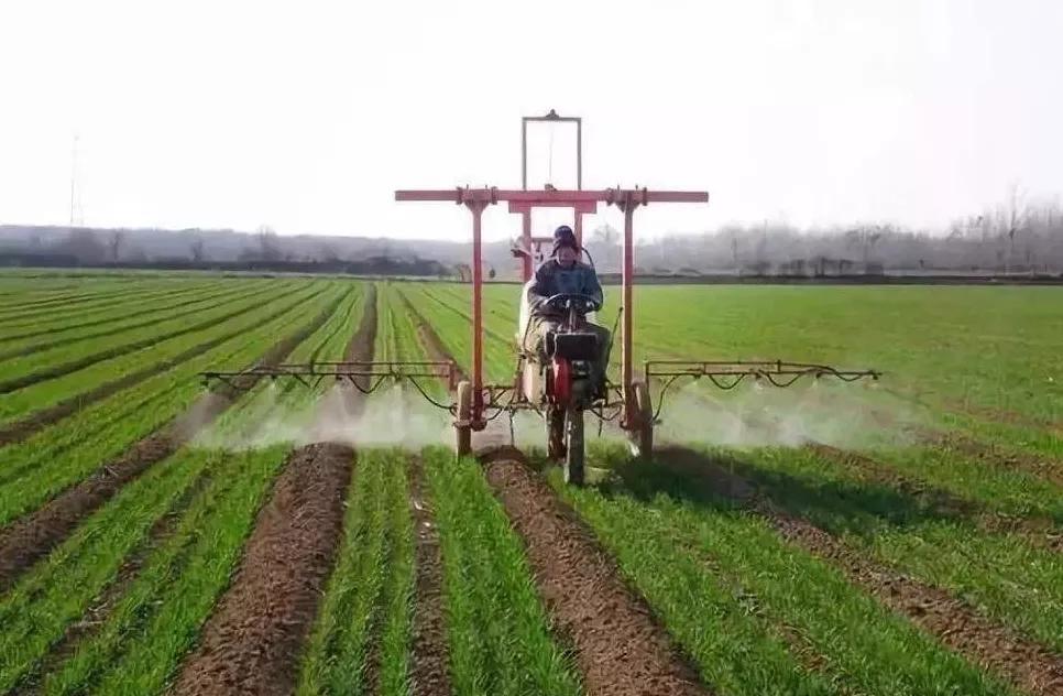 使用除草剂的注意事项,水稻除草剂使用方法及注意事项