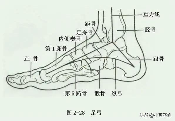 这些鞋子不能给孩子穿,这种鞋子不要给孩子穿