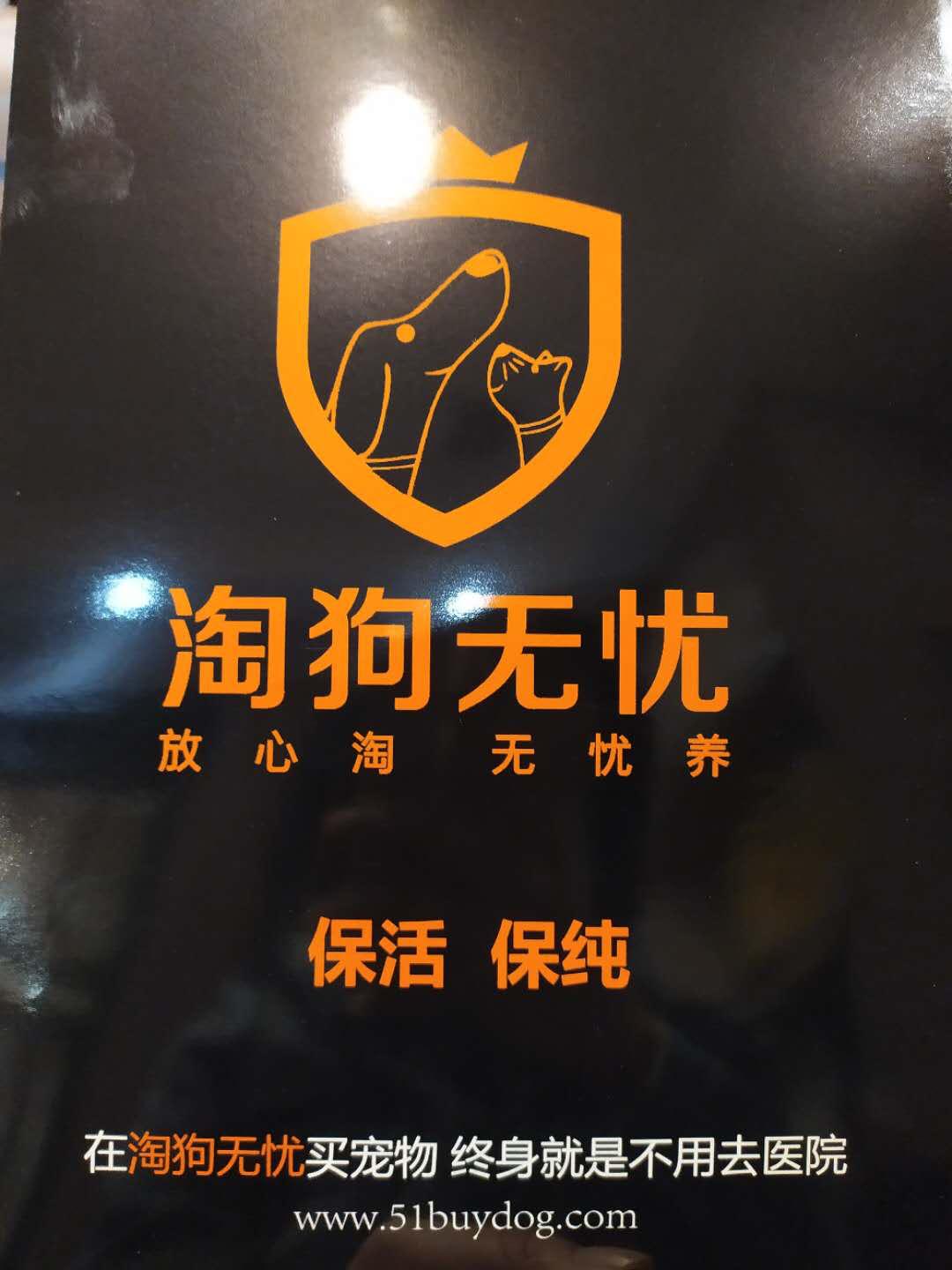 北京宠物店月流水,北京开宠物猫店渠道有哪些