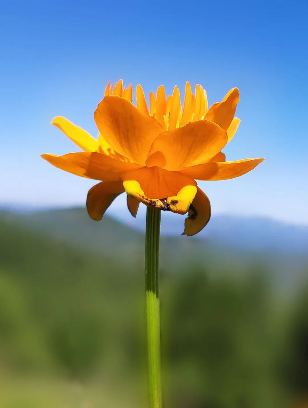 徒步穿越北驼梁完整版,穿越花海古道游记