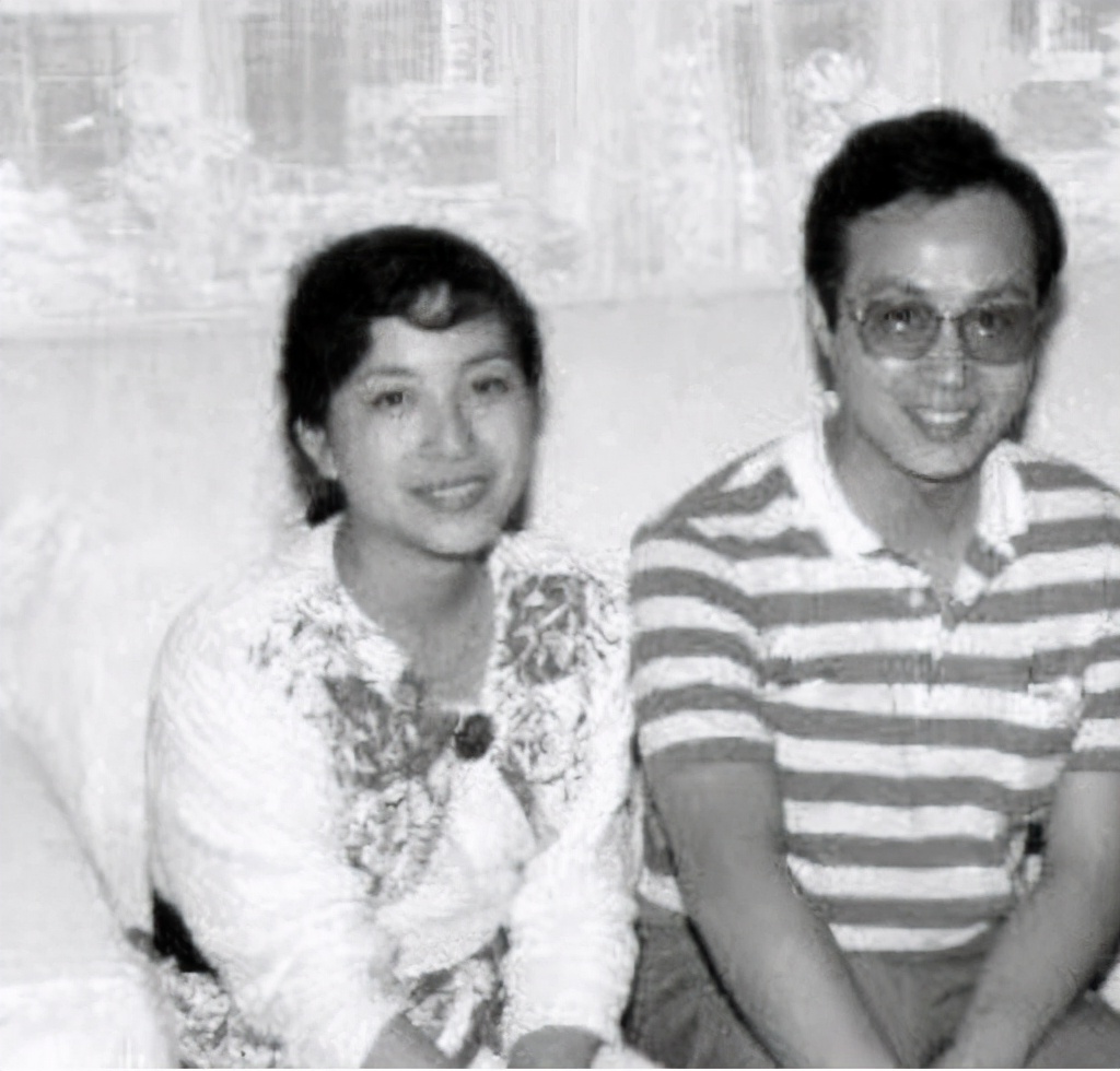 罗京去世12年母亲不知死讯,罗京去世前影像