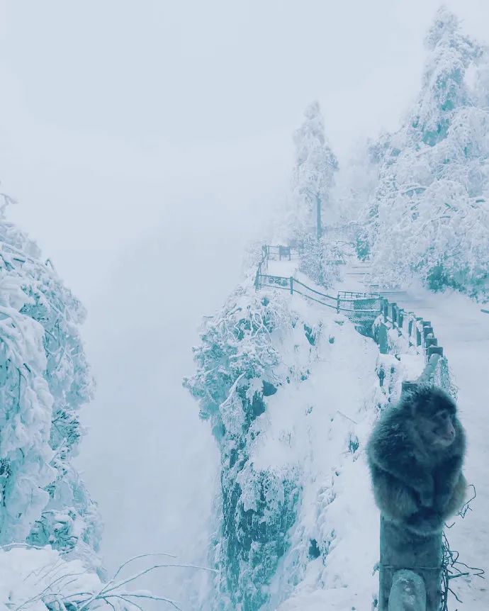 峨眉山两日游最全旅游攻略,峨眉山两日游详细攻略