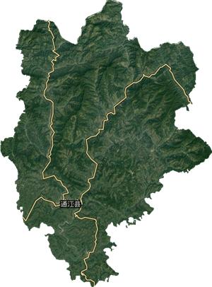 四川通江县野猪泛滥打野猪,巴中通江县野猪泛滥