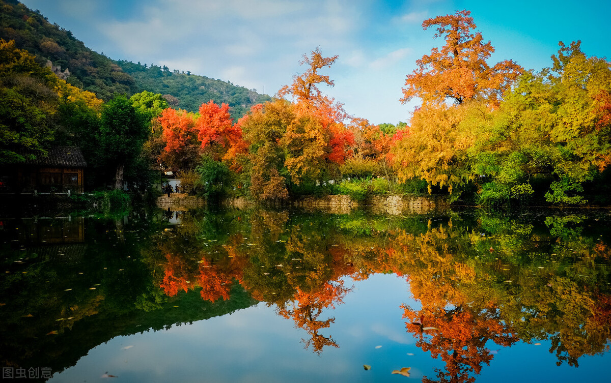 江南的秋天,温柔诗意,漫步姑苏城感受岁月静好,人间值得