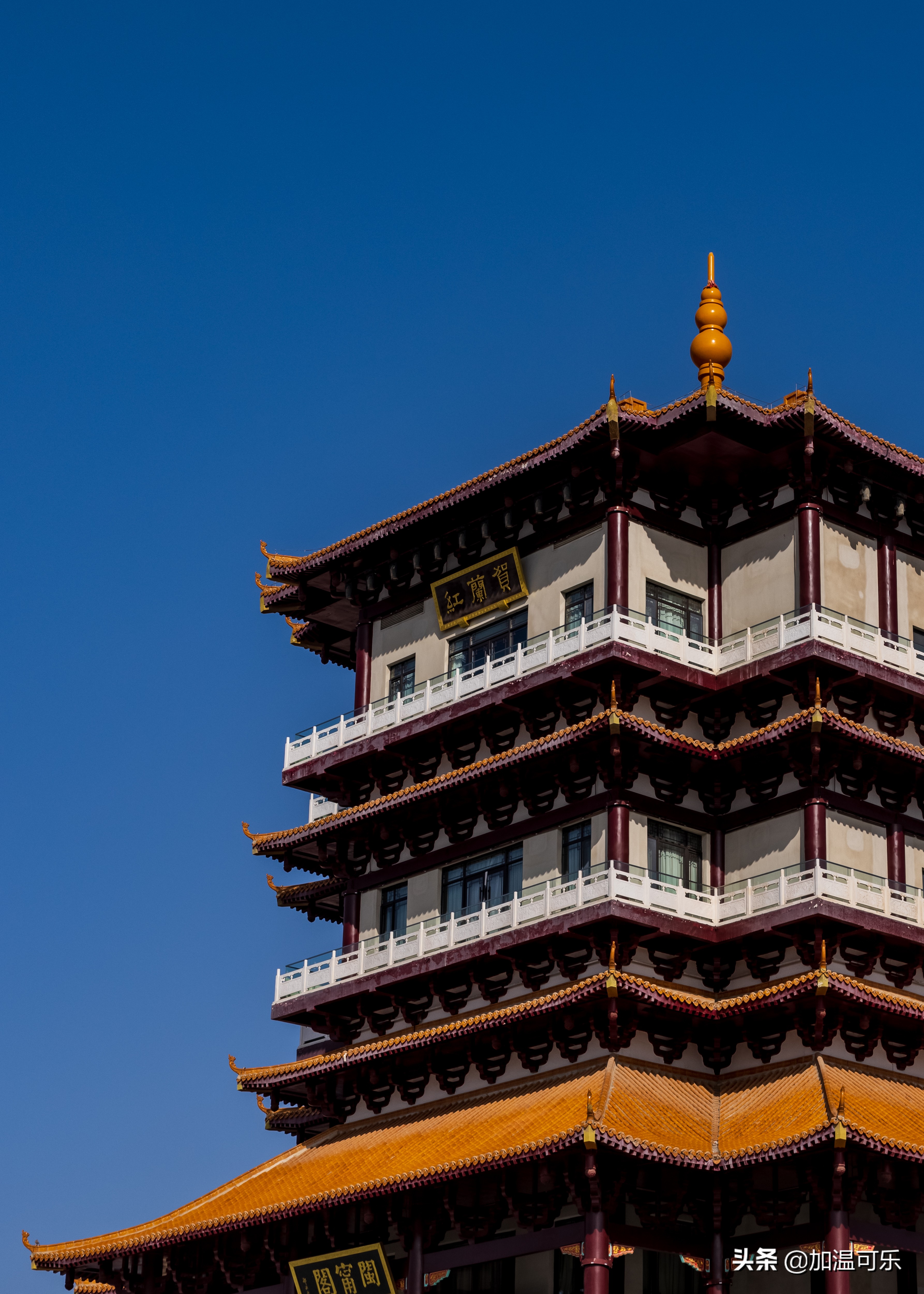 宁夏贺兰红酒庄航拍,贺兰红出自哪个酒庄