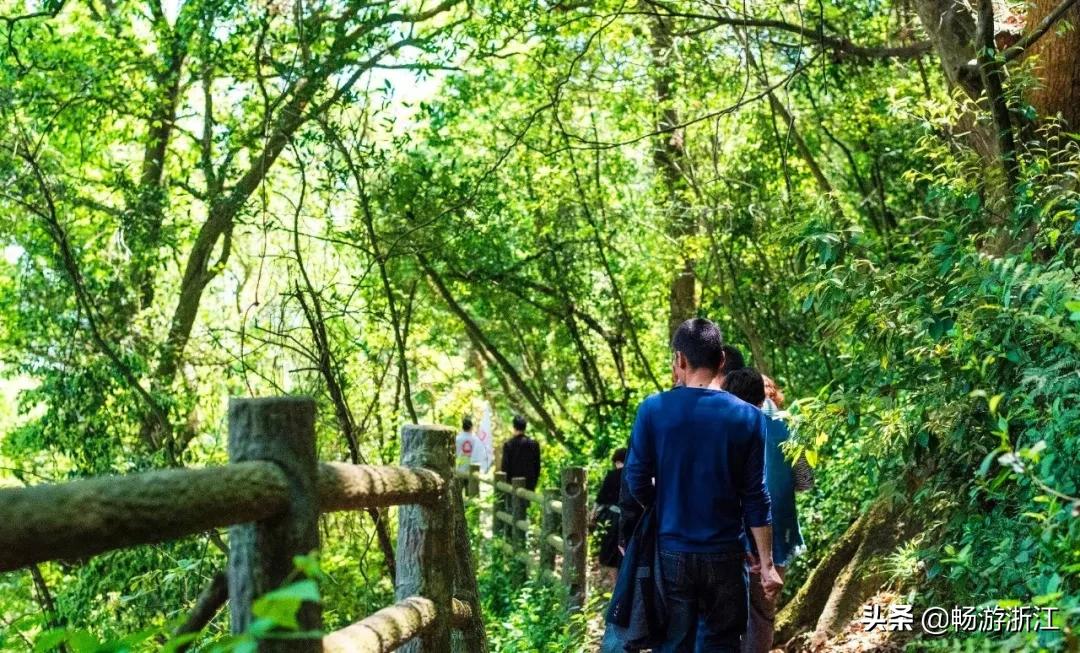 普吉岛到底是什么样的地方,世界级海岛普吉岛