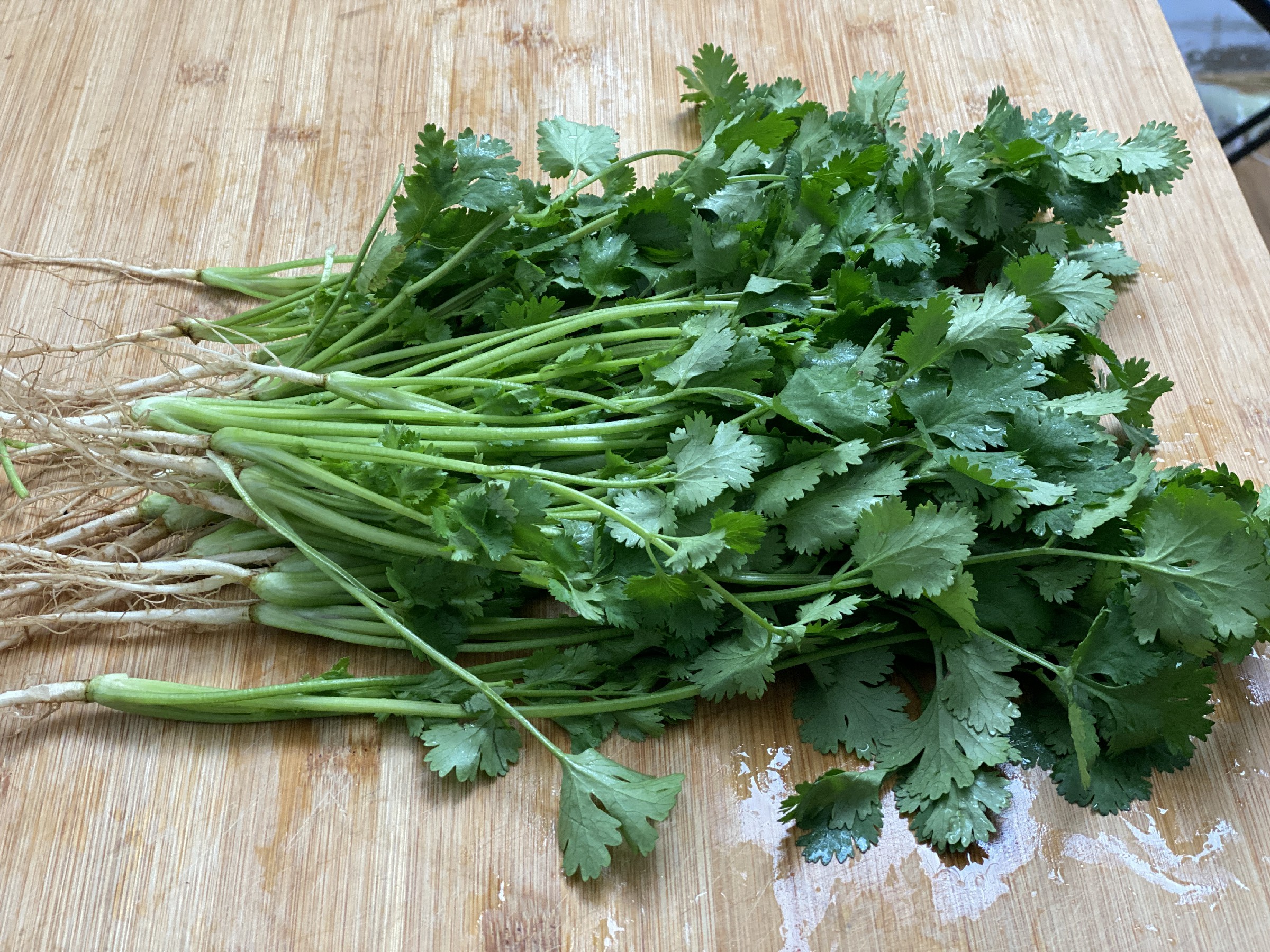 吃不完的香菜放冰箱怎么储存,吃不完的香菜保存最好的方法