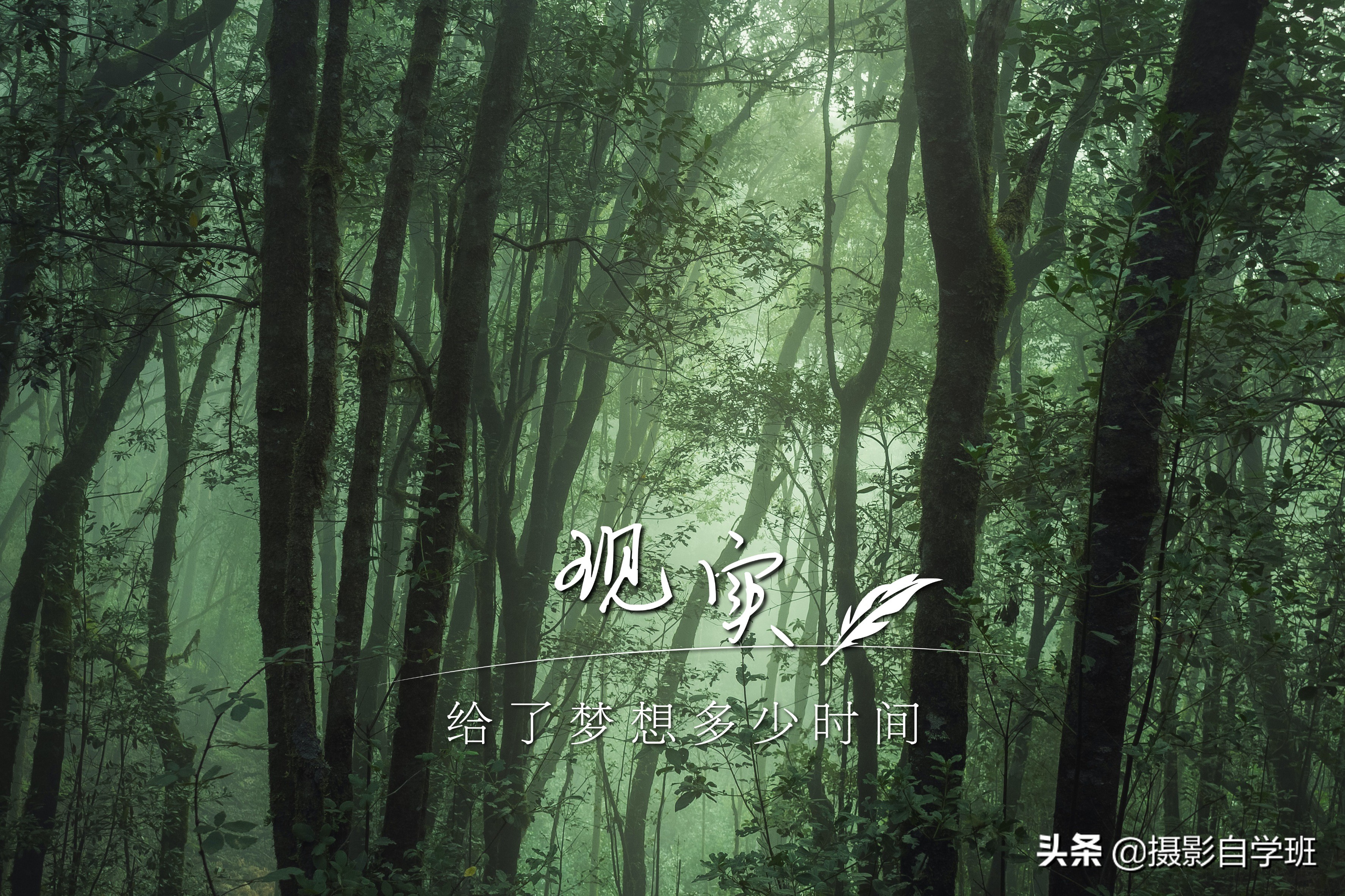 华为nova8照片时间水印怎么设置,华为p40pro拍照怎么设置时间水印