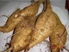 雕琢时光美容美体抖音团购,雕琢时光美容美体