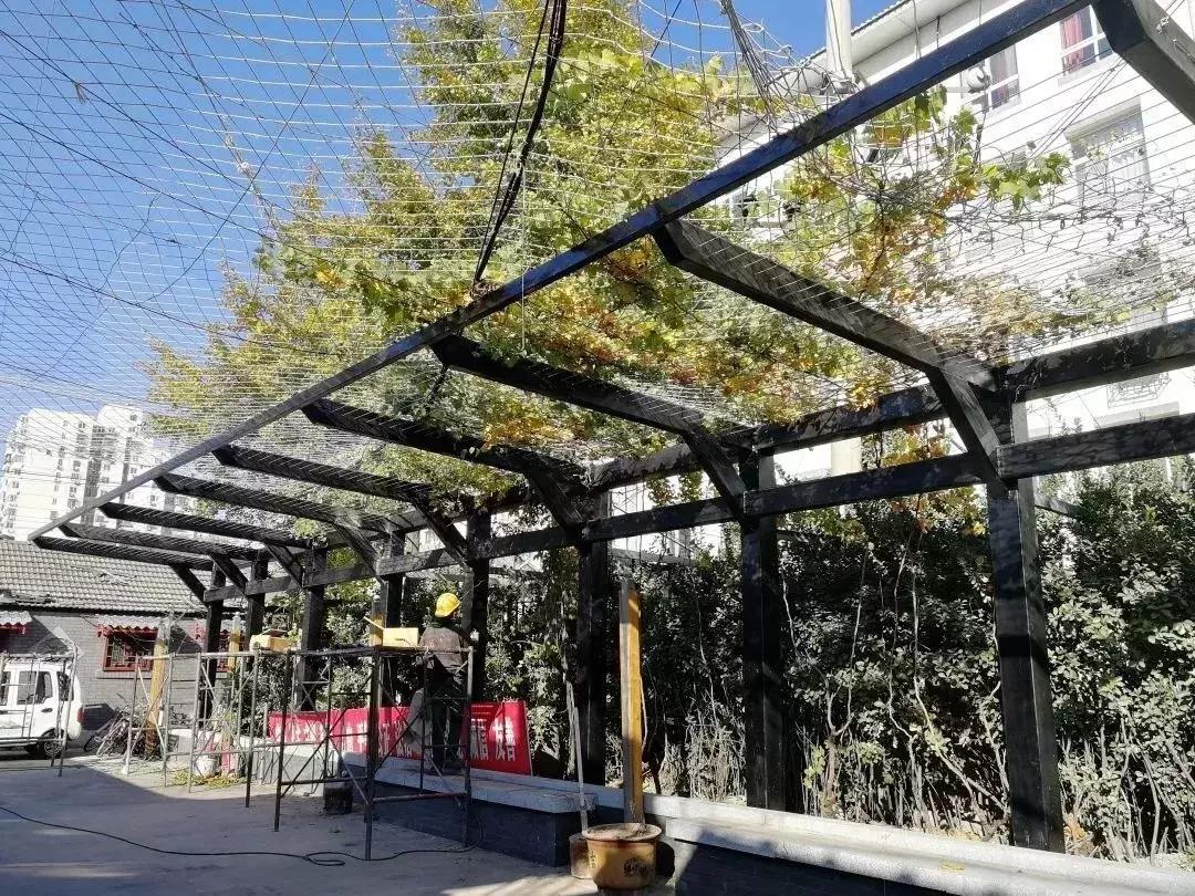 加强精细化管理提升城市治理,以绣花功夫擦亮文明城市金字招牌