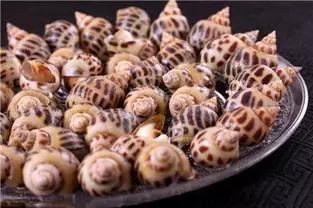 开海什么海鲜最好,开海季肥美海鲜