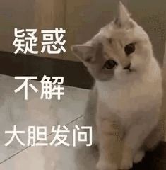 猫一般一顿吃多少猫粮,猫粮和猫罐头怎么吃科学合理