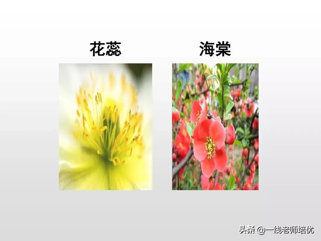 部编人教版四年级下册语文园地四,部编版四年级上册语文园地四复习