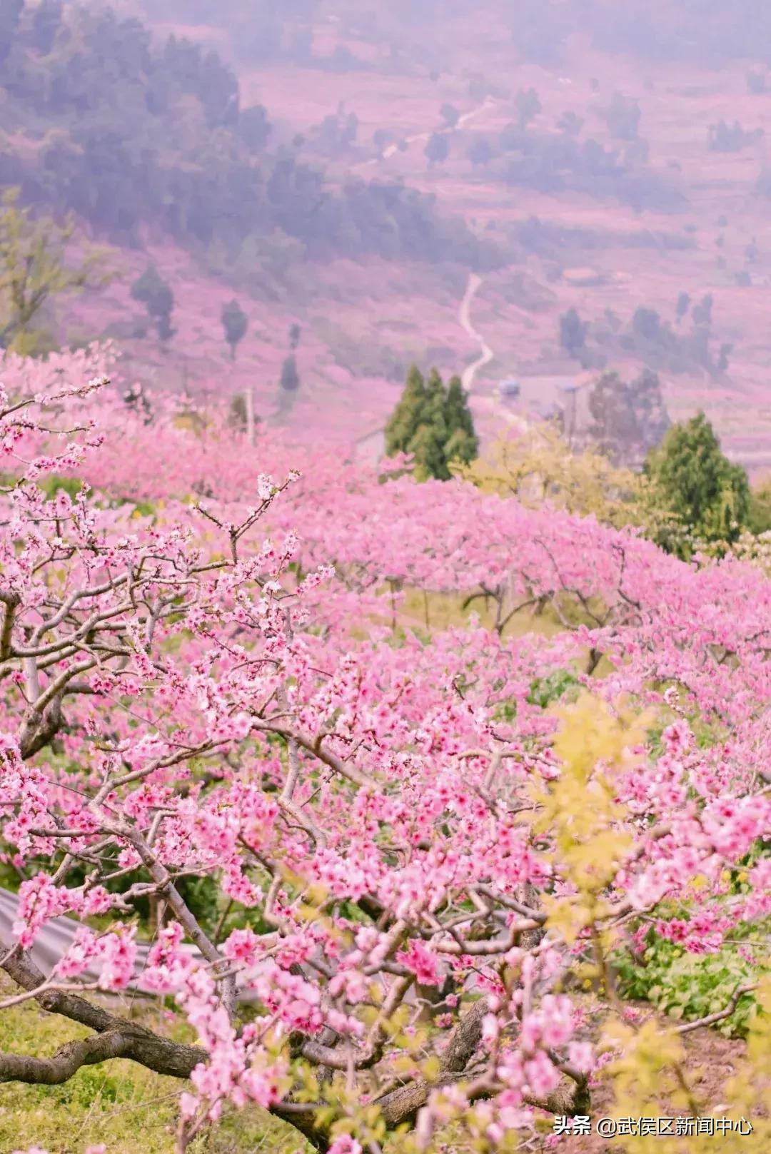 成都旅游景点免费门票,成都周边好玩的地方景点免费
