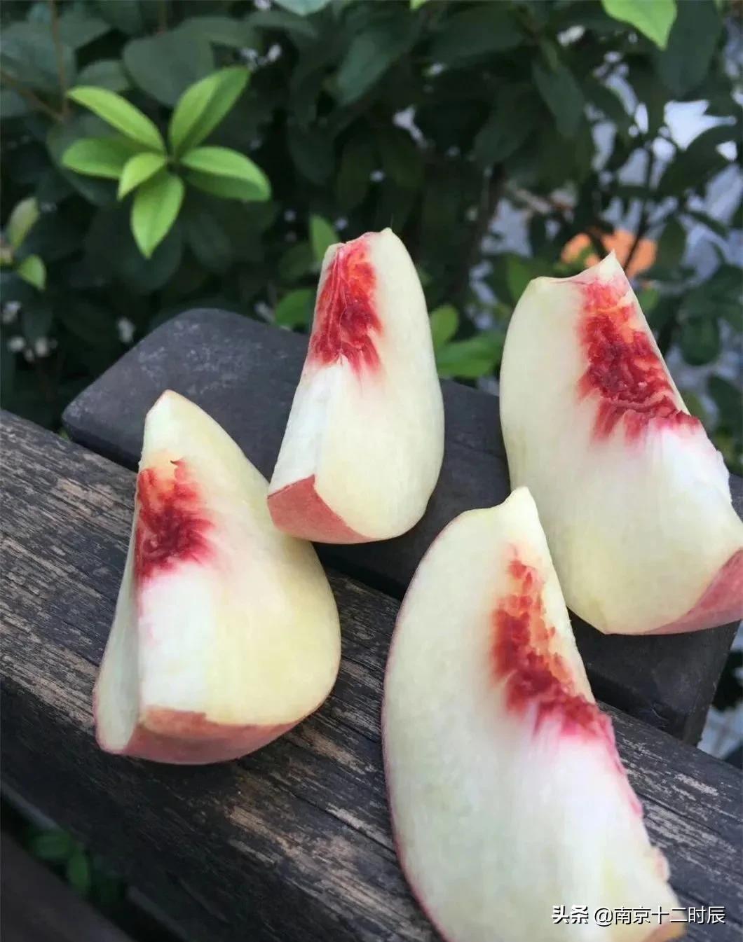 沂蒙山黄金水蜜桃,山东蒙阴金秋红蜜桃