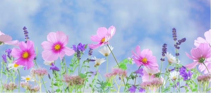 表示春暖花开的古诗词,春暖花开闻归雁的诗句