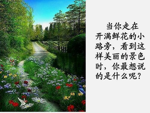 二年级下开满鲜花的小路课文讲解,二年级语文开满鲜花的小路知识点