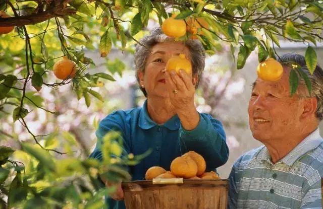 重庆到统景温泉攻略,重庆统景温泉一天旅游攻略