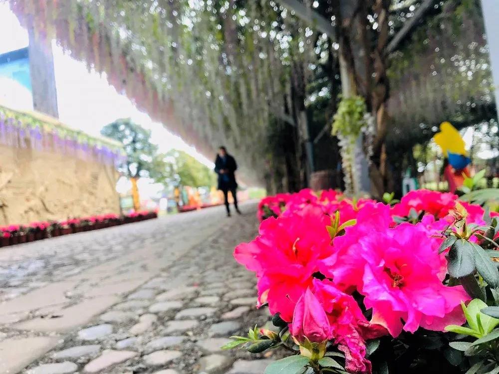 春暖花开来农村踏青,春暖花开亲近大自然来一场野炊