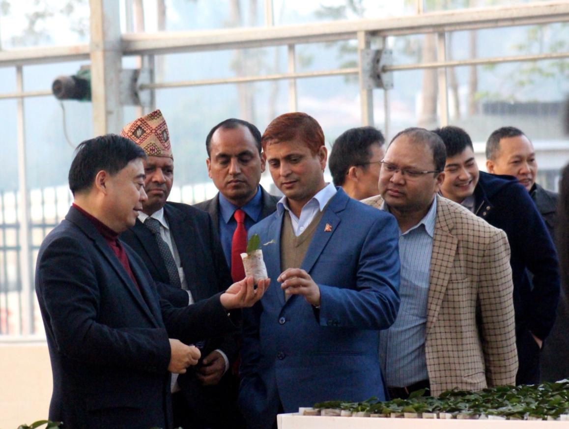 宜宾副市长张平在川茶集团会见尼泊尔考察团推动“一带一路”更深领域拓展