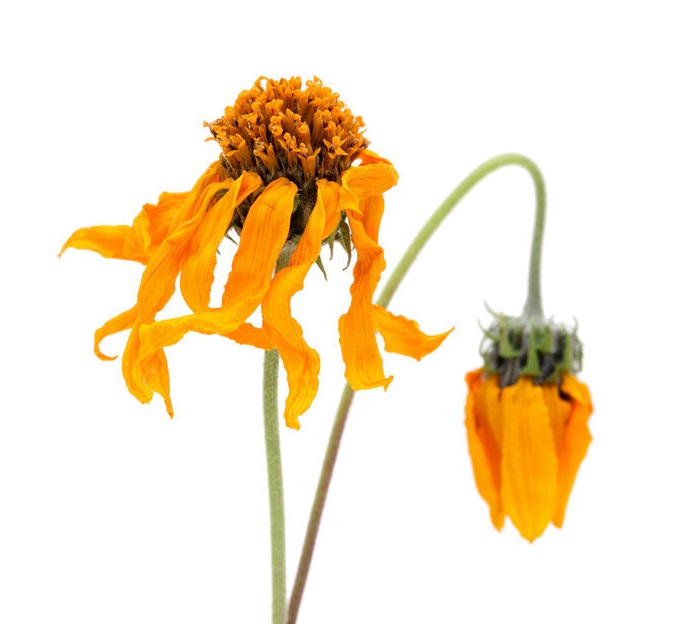 肛裂不敢用痔疮膏,肛裂了有什么要注意的