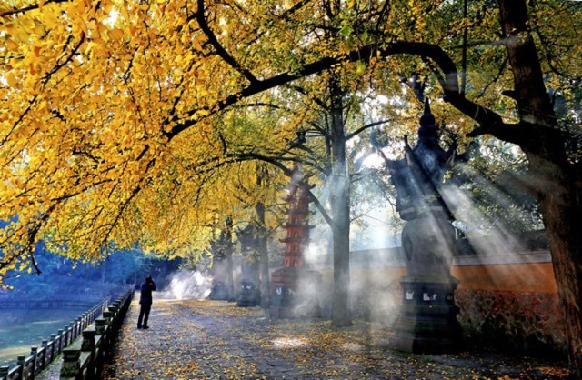 宁波东钱湖温泉酒店排行榜,宁波东钱湖旅游度假酒店推荐