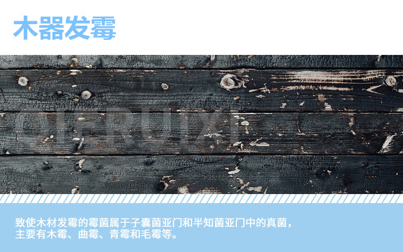 实木家具发霉腐烂怎么处理,实木家具泡水后怎么办