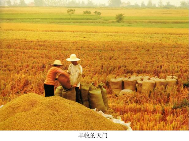 舌尖上的中国天门蒸菜,天门蒸菜哪里最正宗