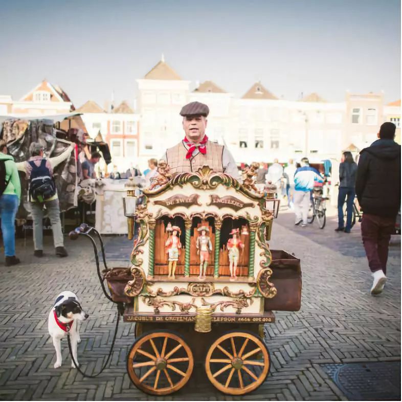 荷兰国花郁金香风车,荷兰风车和郁金香