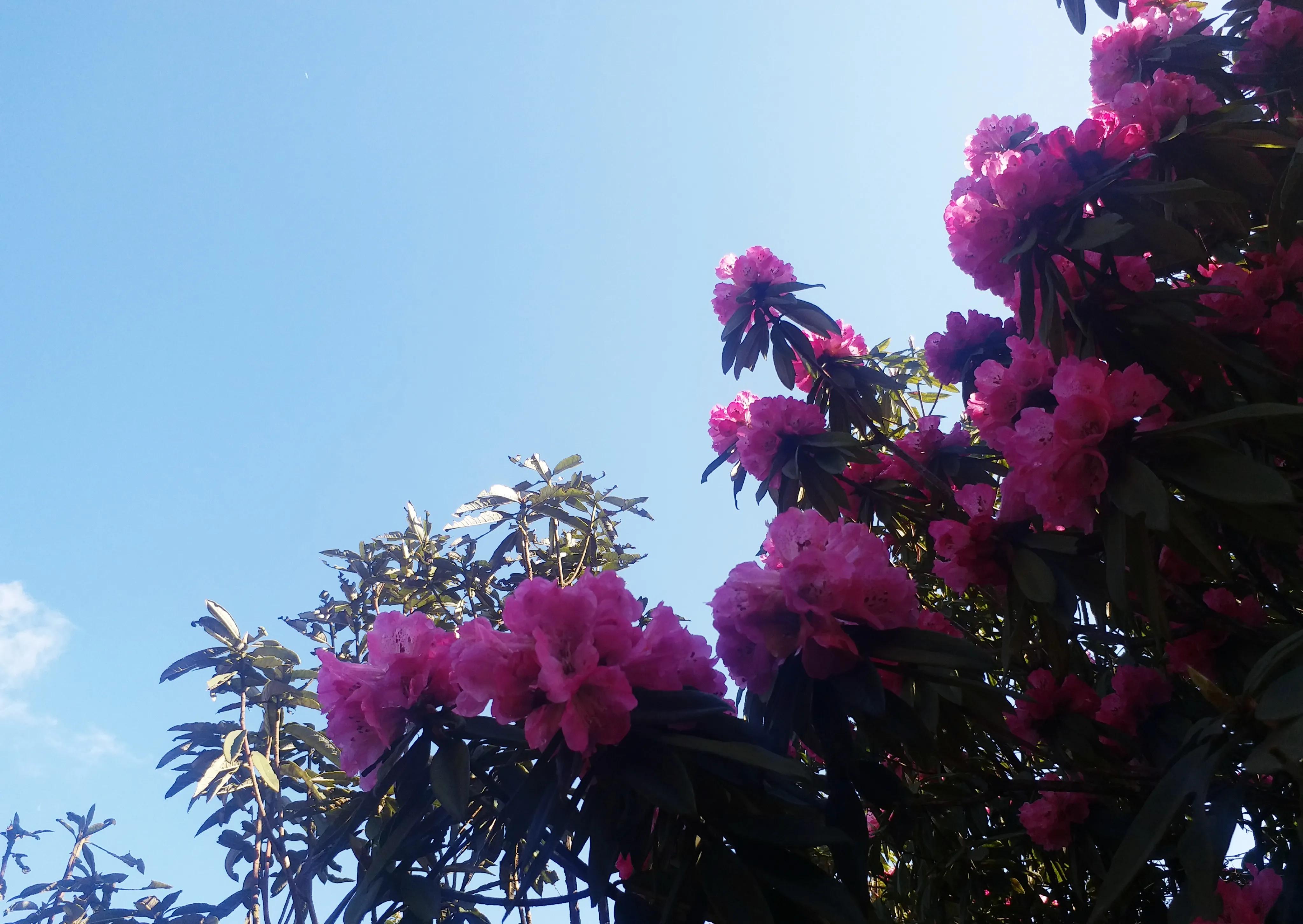 毕节五日游,贵州毕节五日游攻略