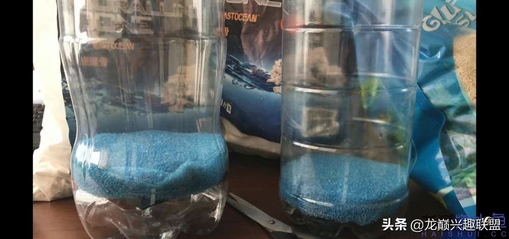 从零开始玩海缸的方法,从零开始玩海缸全过程