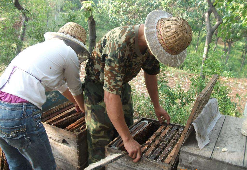 会拉丝的蜂蜜是好的吗,会拉丝的蜂蜜