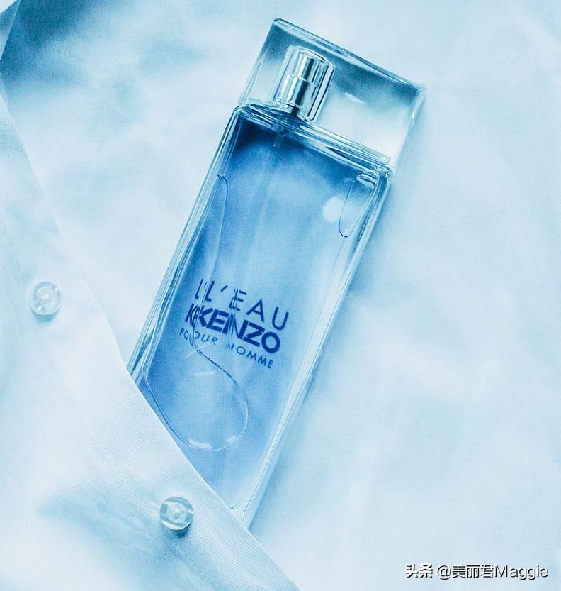 maggie的美丽日记 (maggie的美丽物语真实感受)