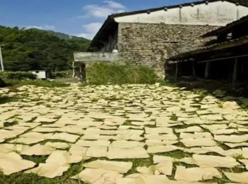 “百千桑梓地，亿万老家人”浙江省—温州市—瓯海区（上）