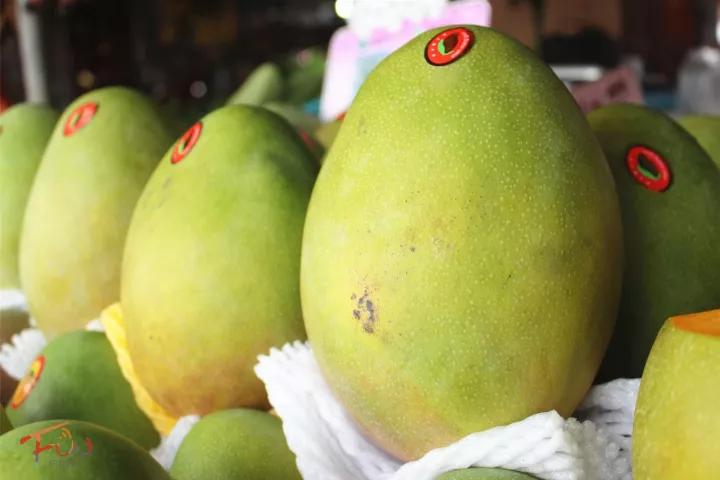 广州吃海鲜最便宜的地方2018年,广州的海鲜哪里又新鲜又便宜