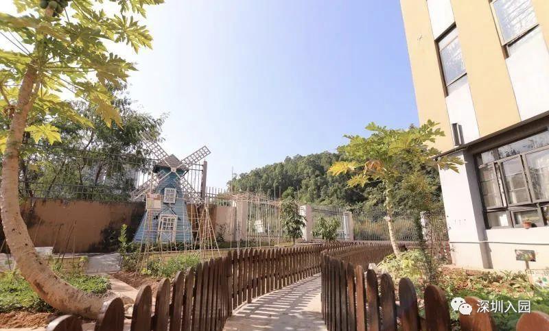 深圳高端幼儿园是哪些,深圳光明高端幼儿园