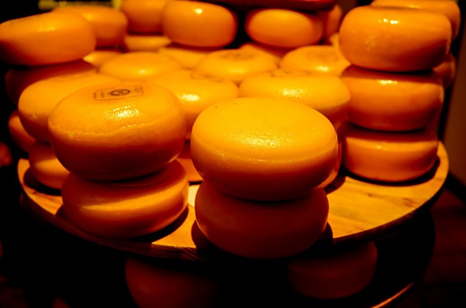 如何分清各种芝士,如何选择适合自己的芝士种类