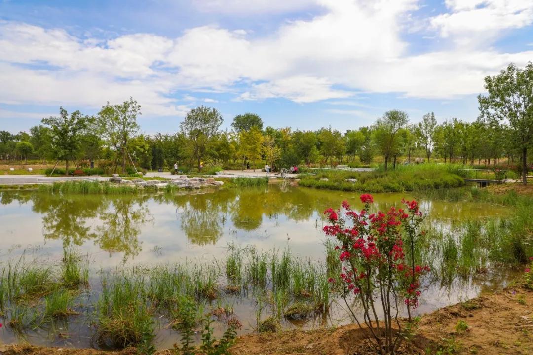 北京人少景美赏秋的公园,北京赏秋中山公园