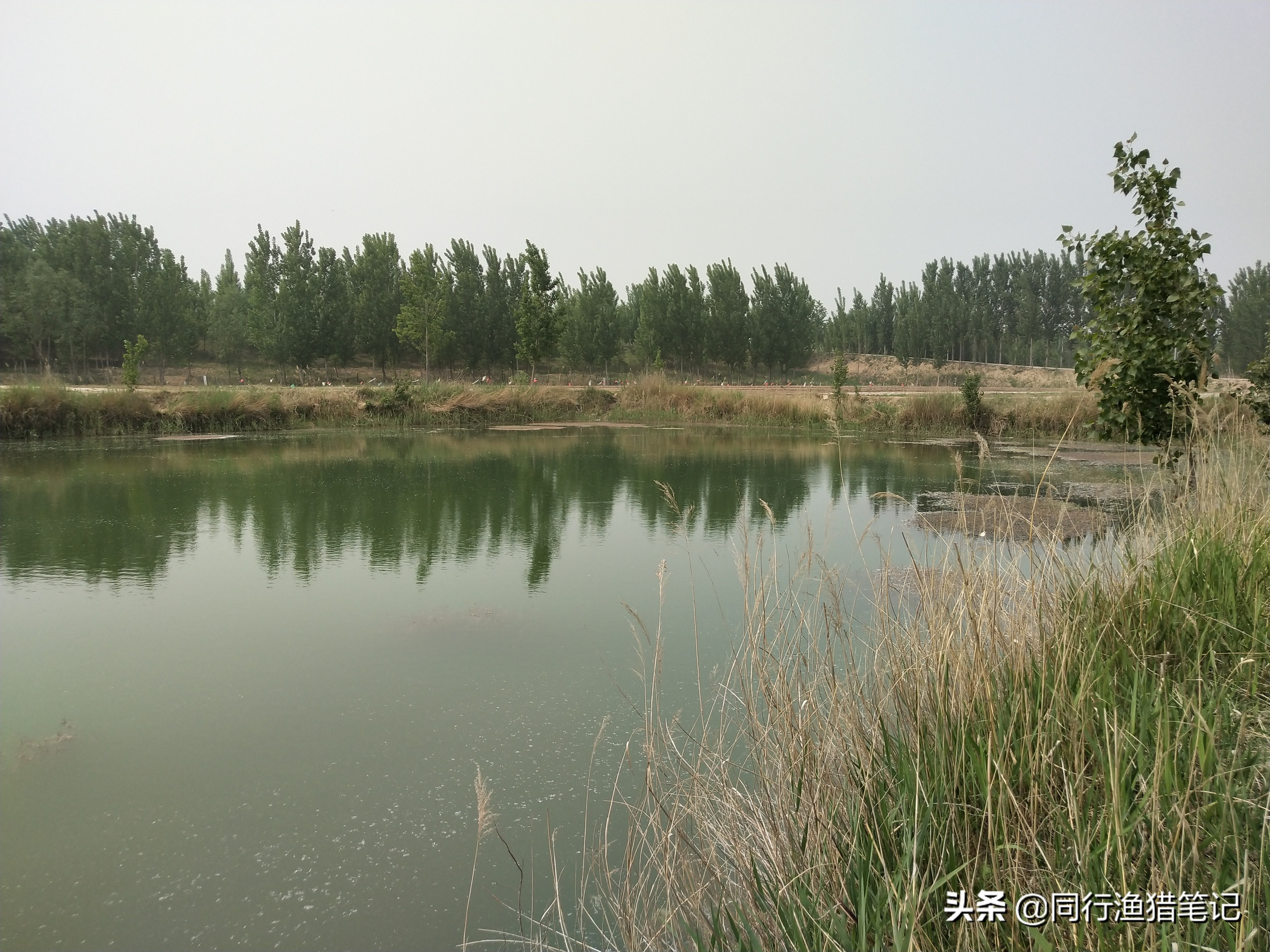 看不到鱼口却中鱼怎么解决,早上傍晚鱼不开口怎么回事