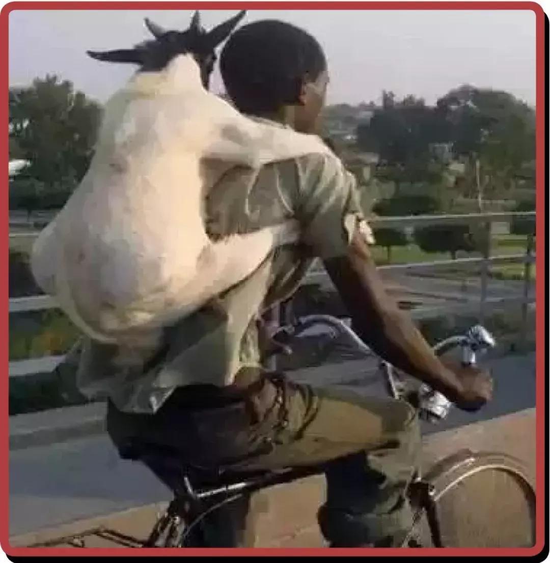 非洲黑叔叔的人体物流有多猛？