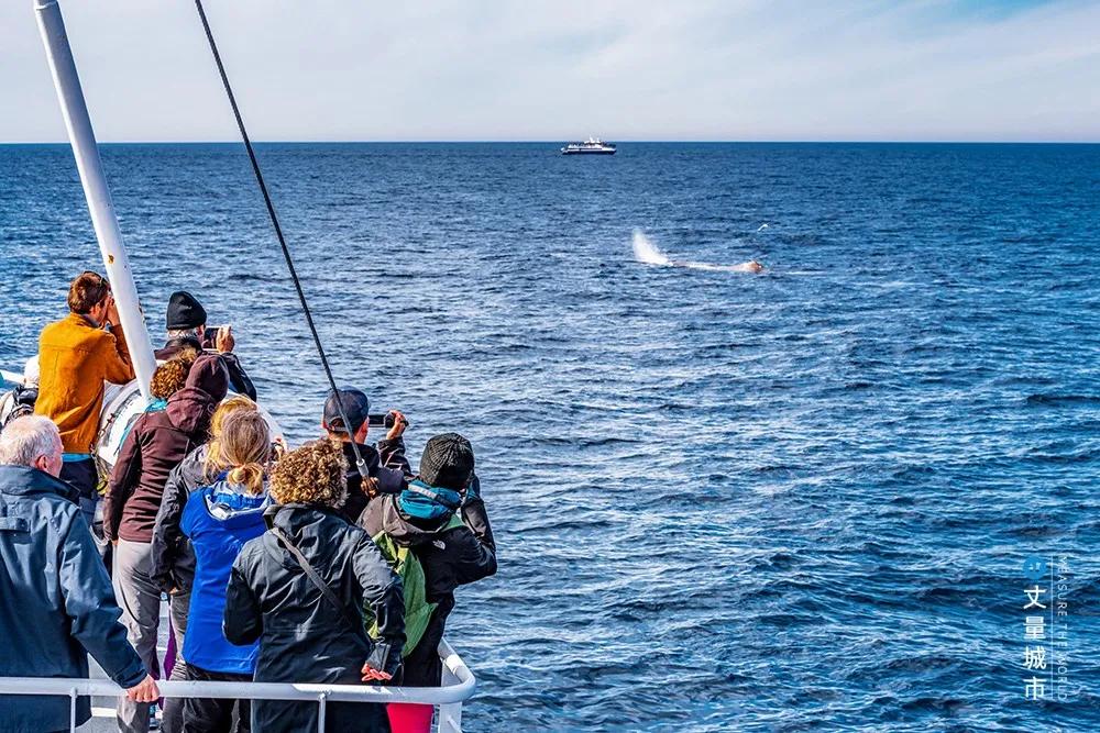 维京遇到全域旅游，美丽乡村、特色小镇一网打尽：挪威渔业史漫步