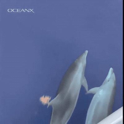 航海船舶有趣科普,老船长带你了解海员生活