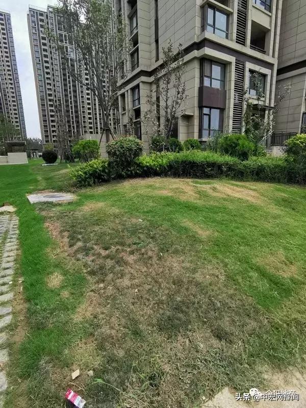 融侨地产会不会破产,融侨地产最新现状